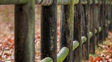 Omnis aut quas odio.