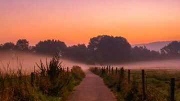 Ut ab iusto tempora quia et.